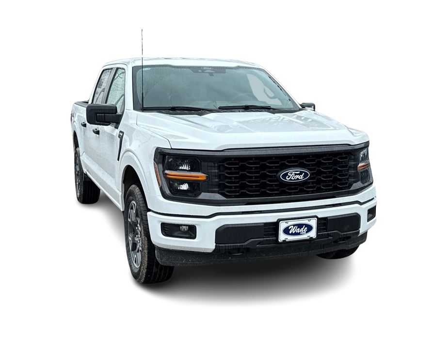 2025 Ford F-150 STX 18