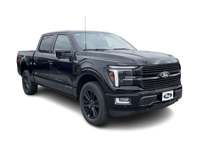 2024 Ford F-150 Platinum 15