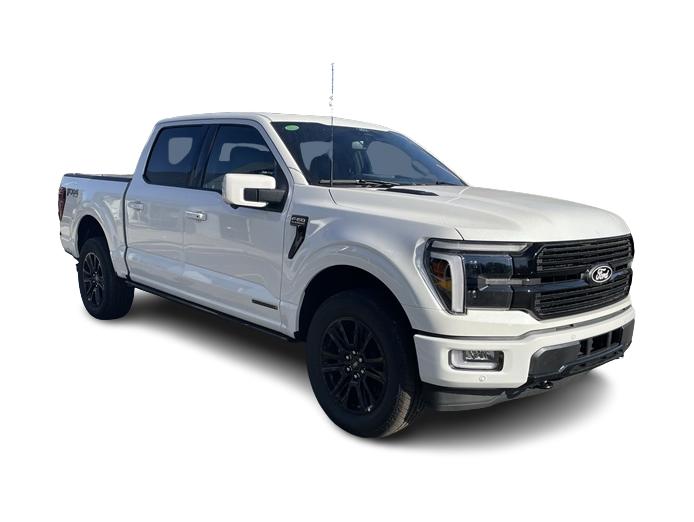 2024 Ford F-150 Platinum 16