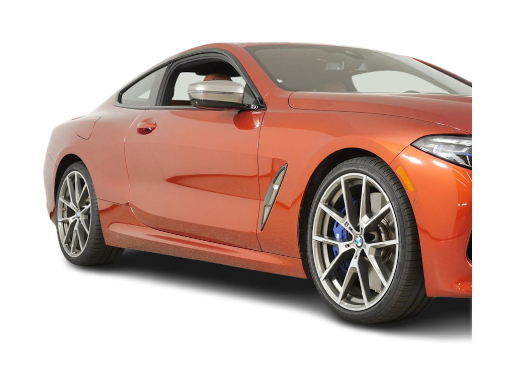 Thumbnail: 2019 BMW 8 Series - 18