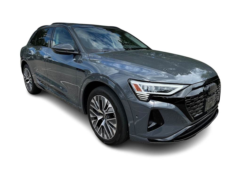 Thumbnail: 2024 Audi Q8 e-tron - 10