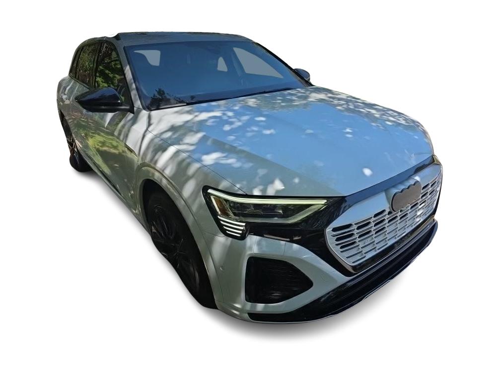 Thumbnail: 2024 Audi Q8 e-tron - 15