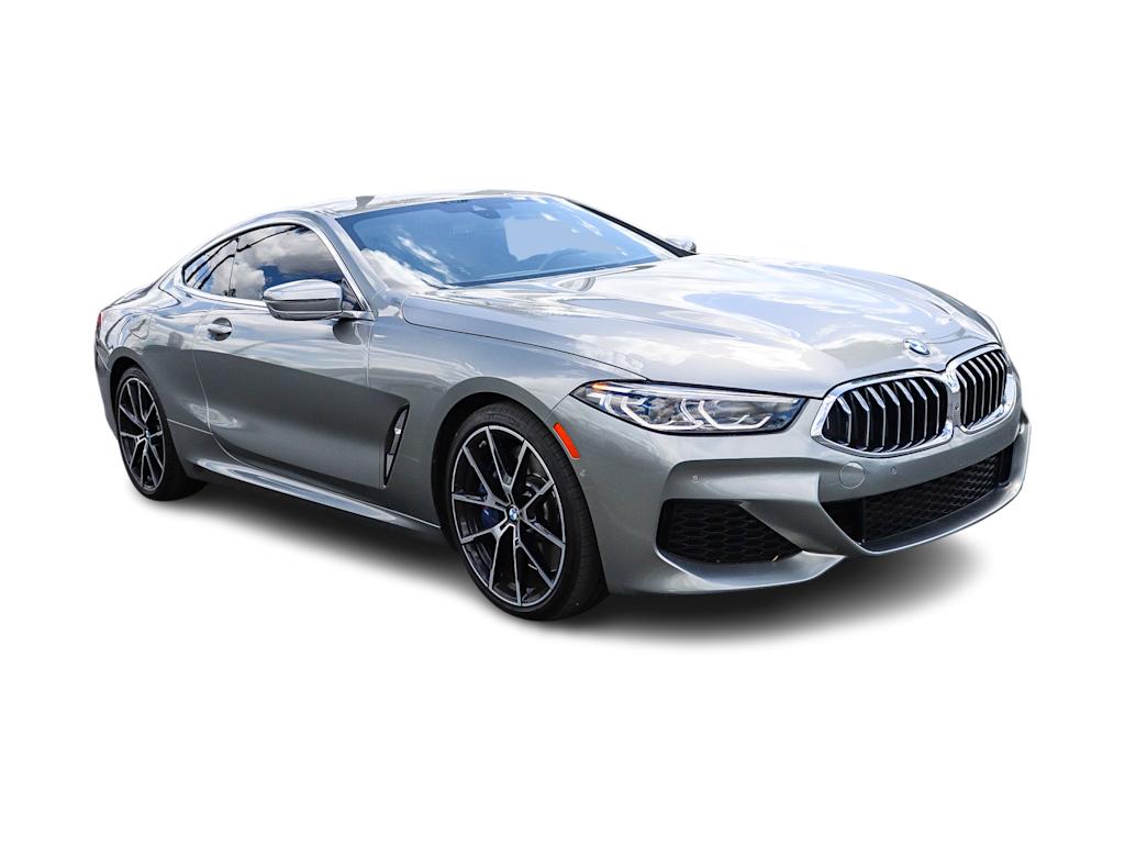 Thumbnail: 2019 BMW 8 Series - 17