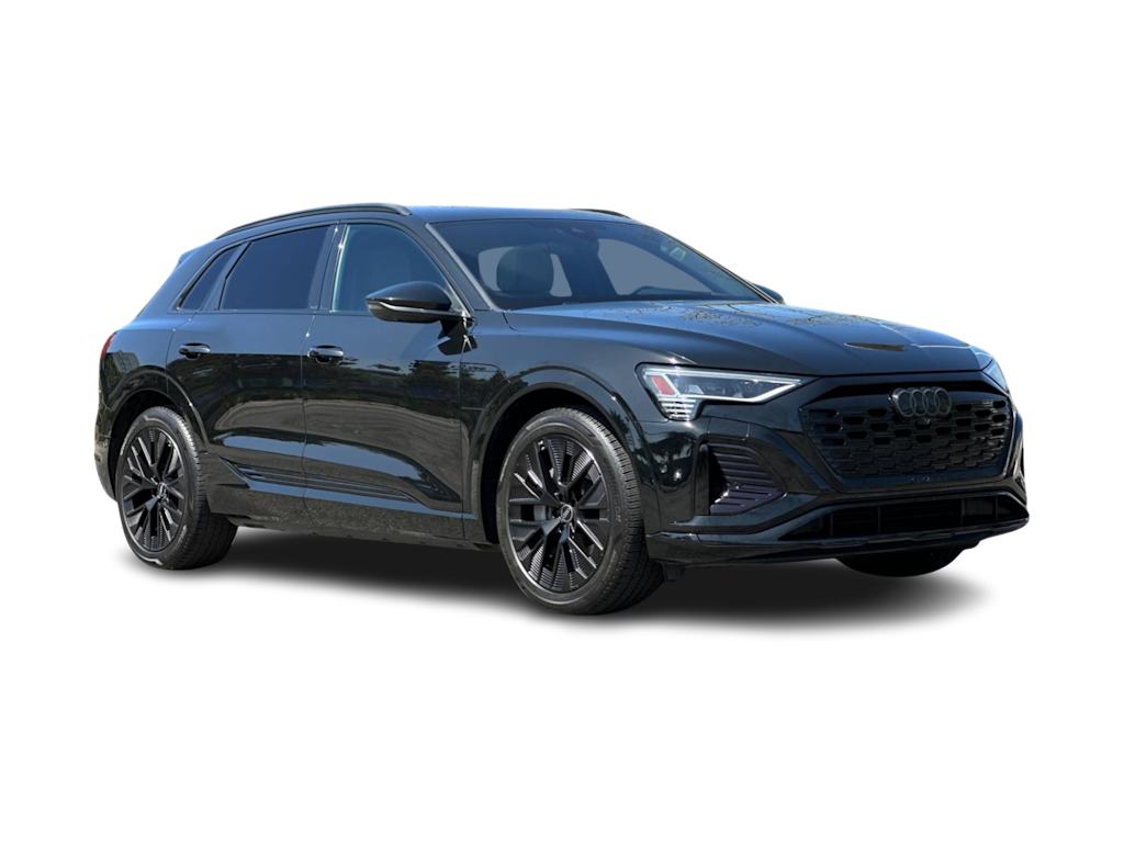 Thumbnail: 2024 Audi Q8 e-tron - 19