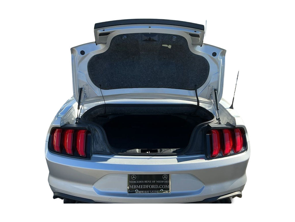 Thumbnail: 2019 Ford Mustang - 24
