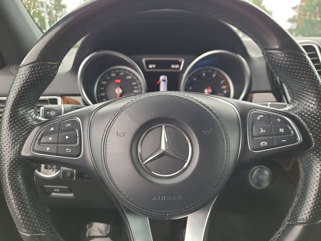 Thumbnail: 2019 Mercedes-Benz GLS - 14