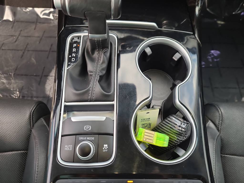 Thumbnail: 2018 Kia Stinger - 14