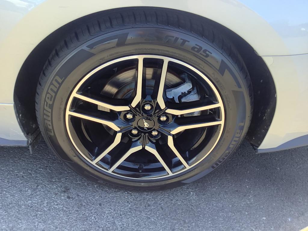Thumbnail: 2019 Ford Mustang - 8