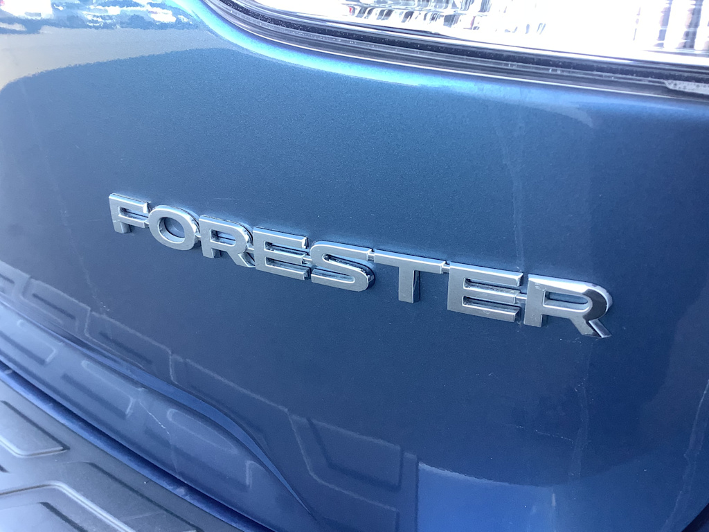 Thumbnail: 2019 Subaru Forester - 7