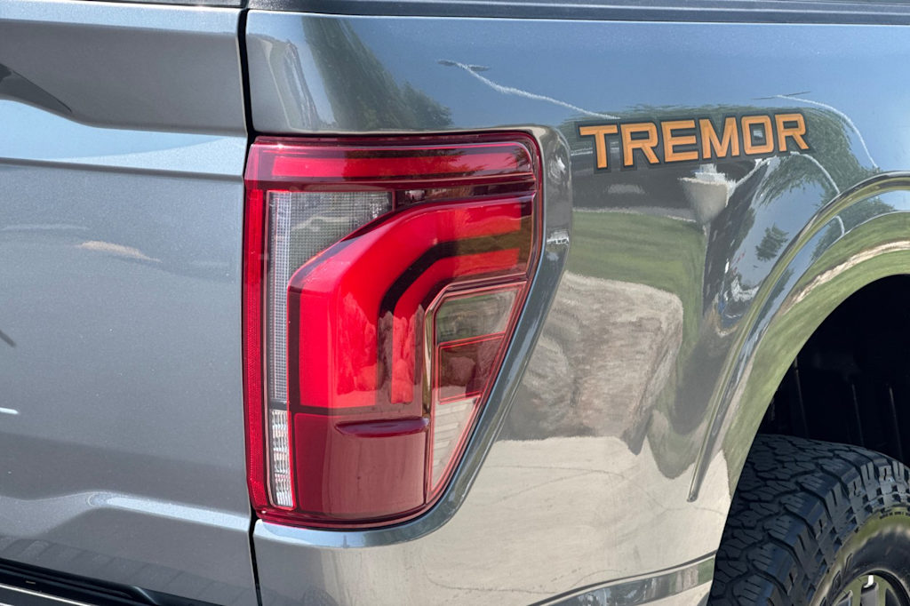 Thumbnail: 2024 Ford F-150 - 28