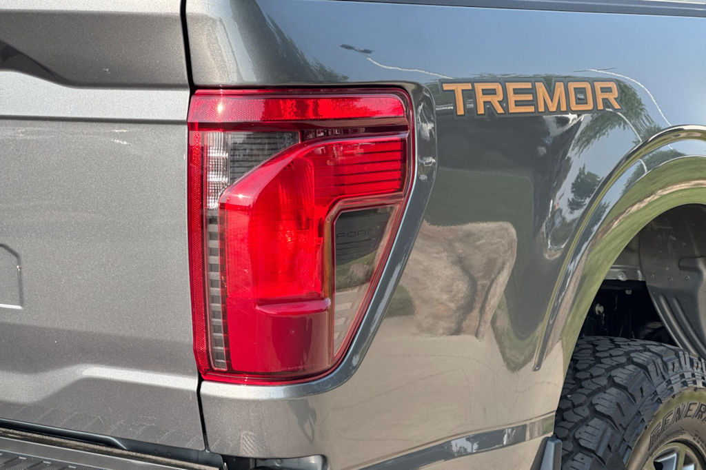 Thumbnail: 2025 Ford F-150 - 28