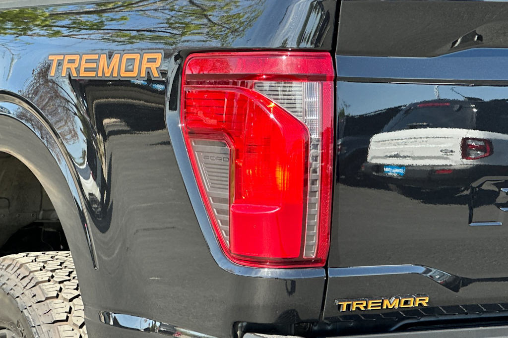 Thumbnail: 2025 Ford F-150 - 28