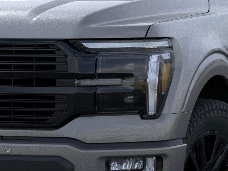 2025 Ford F-150 Platinum 19