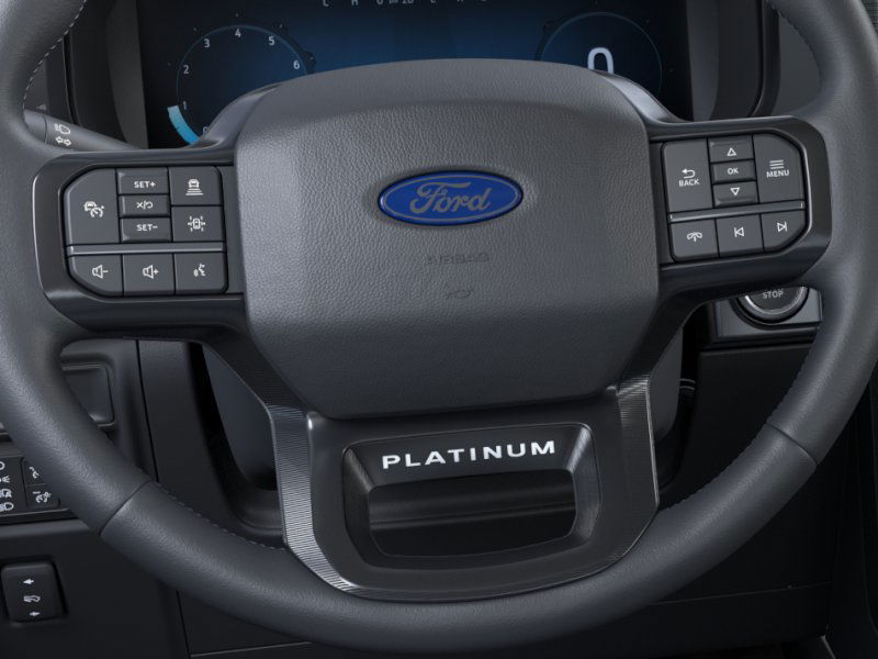 2025 Ford F-150 Platinum 16