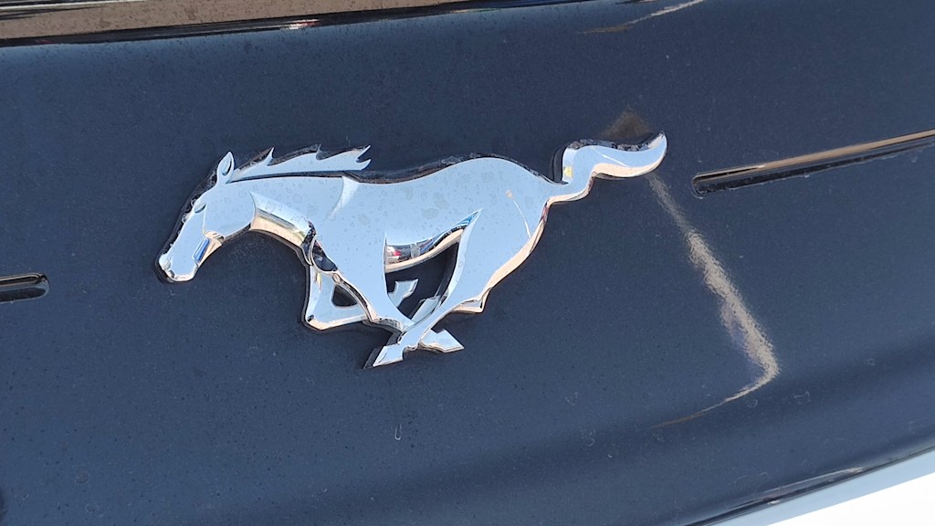 Thumbnail: 2022 Ford Mustang - 7