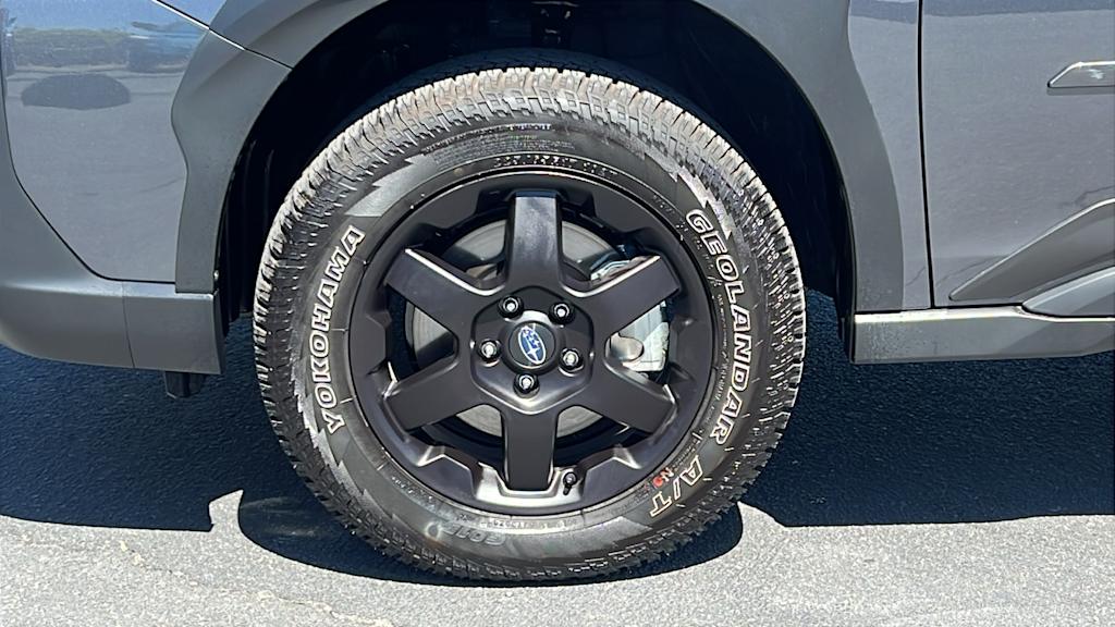 2025 Subaru Outback Wilderness 8