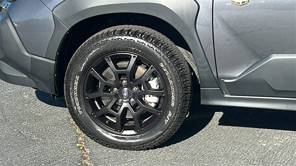 Thumbnail: 2025 Subaru Crosstrek - 8
