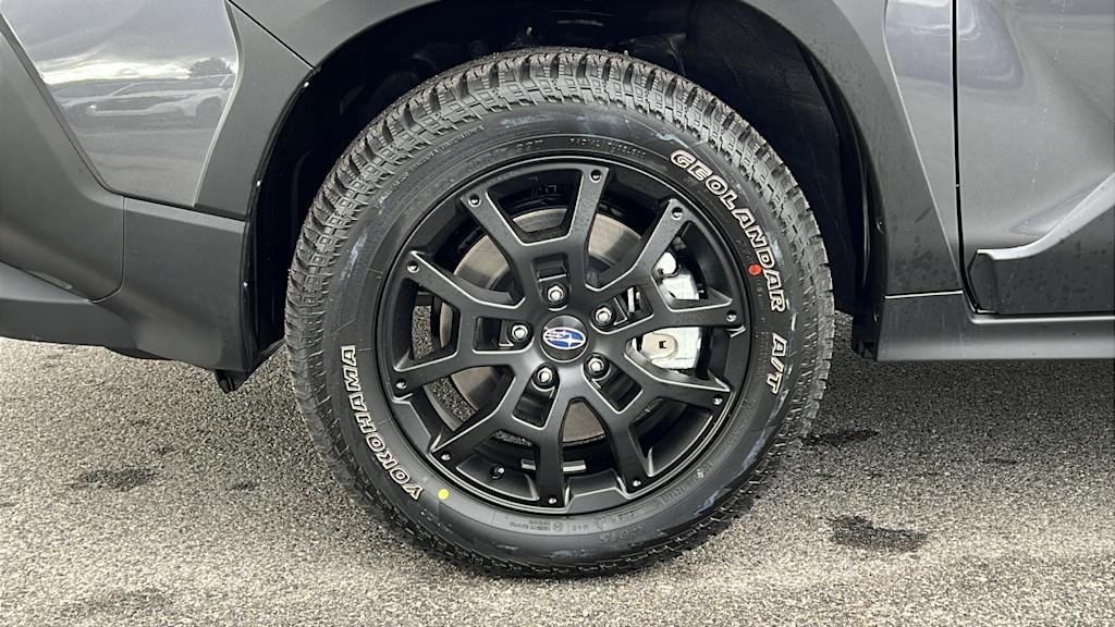 Thumbnail: 2025 Subaru Crosstrek - 8