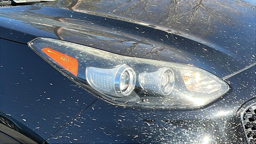 Thumbnail: 2017 Kia Sportage - 7