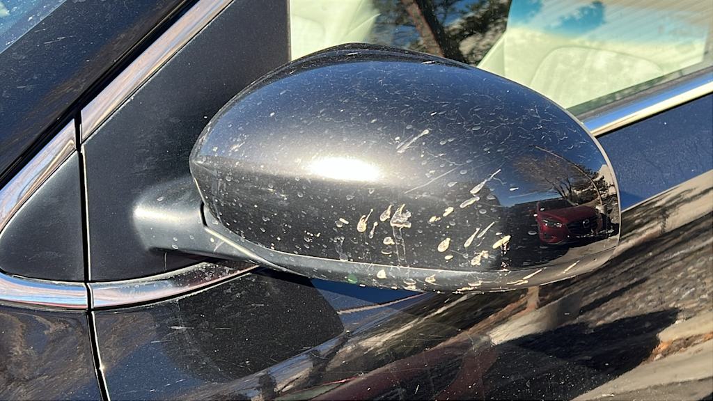 Thumbnail: 2017 Kia Sportage - 19