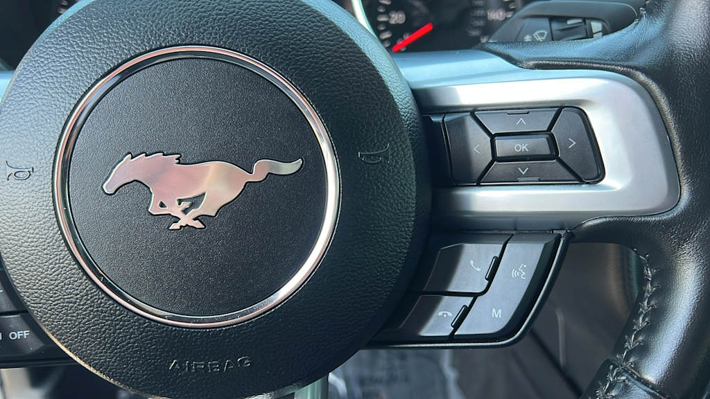 Thumbnail: 2019 Ford Mustang - 26