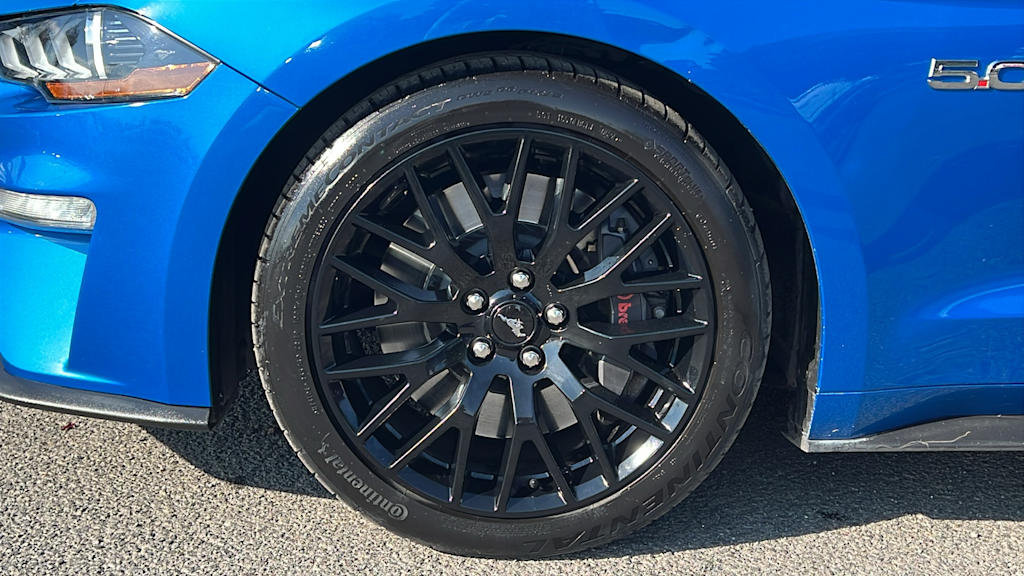 Thumbnail: 2019 Ford Mustang - 8