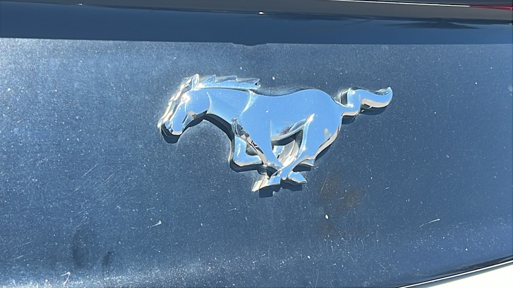 Thumbnail: 2017 Ford Mustang - 7