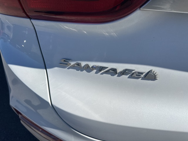 2019 Hyundai Santa Fe SE 19