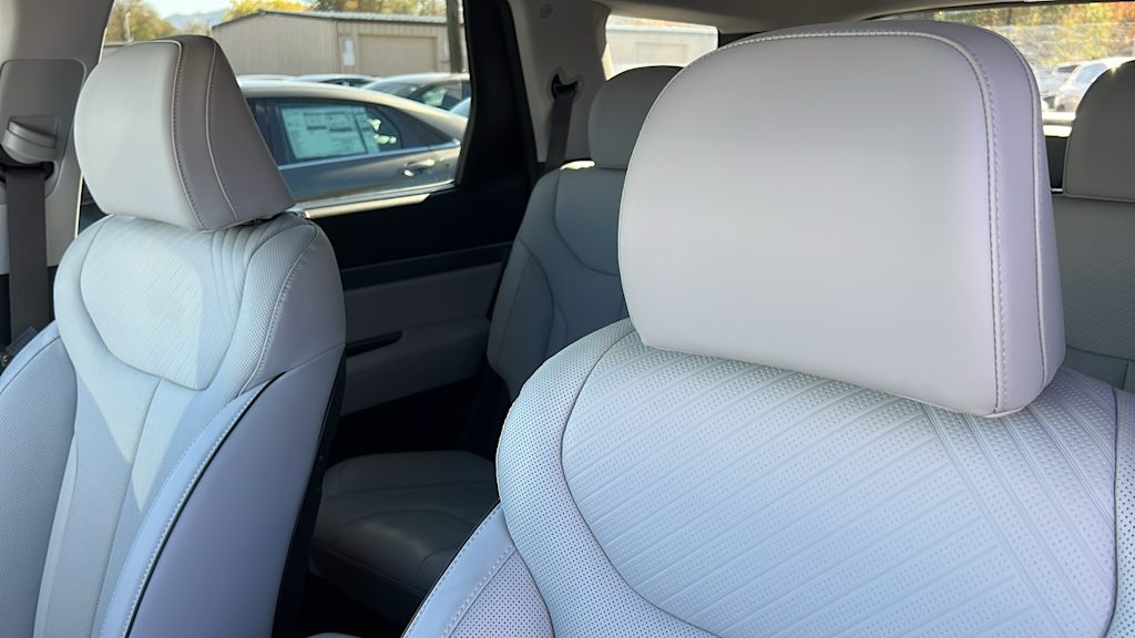 Thumbnail: 2025 Hyundai Palisade - 10