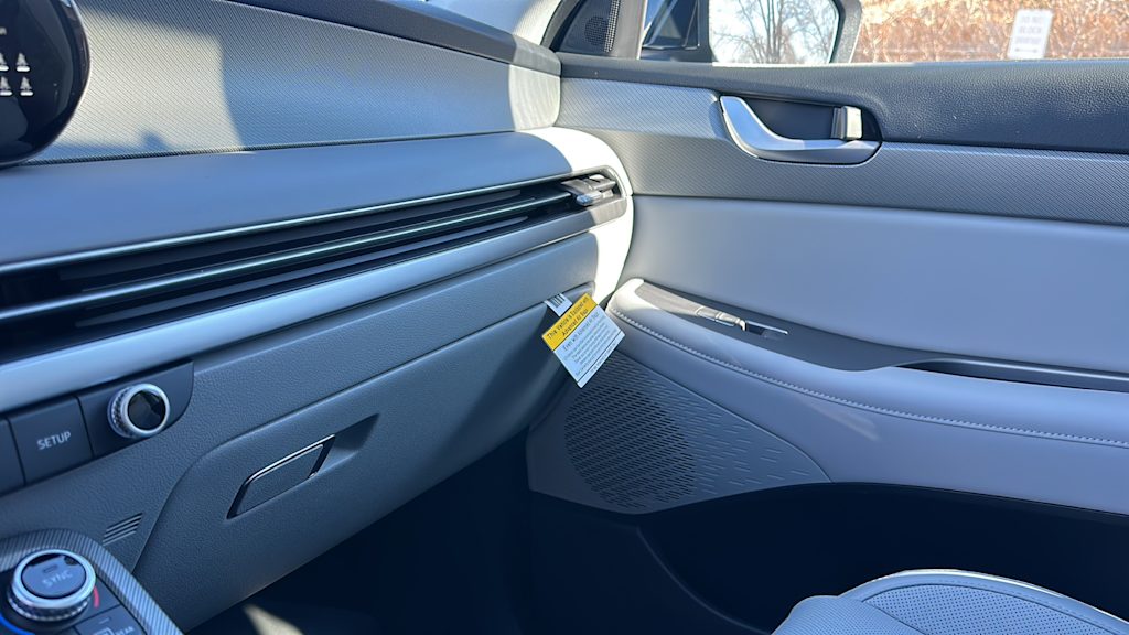 2025 Hyundai Palisade SEL 33