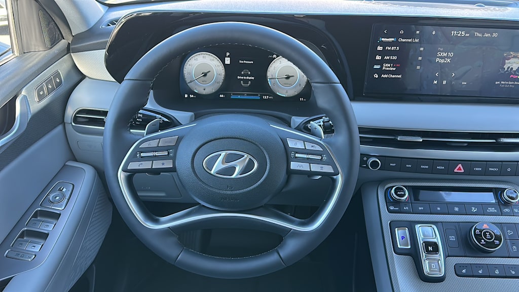 2025 Hyundai Palisade SEL 13