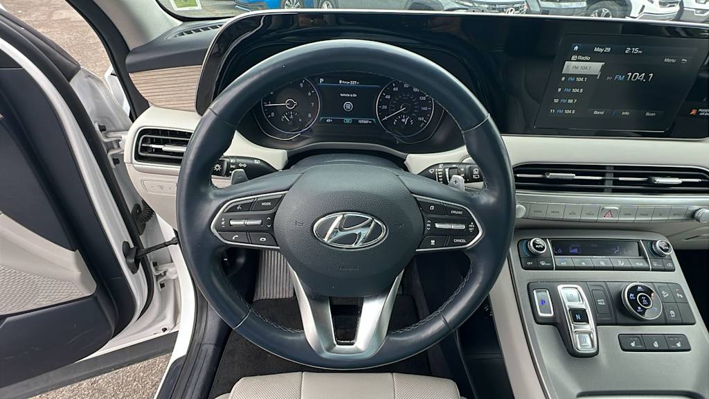 Thumbnail: 2020 Hyundai Palisade - 9