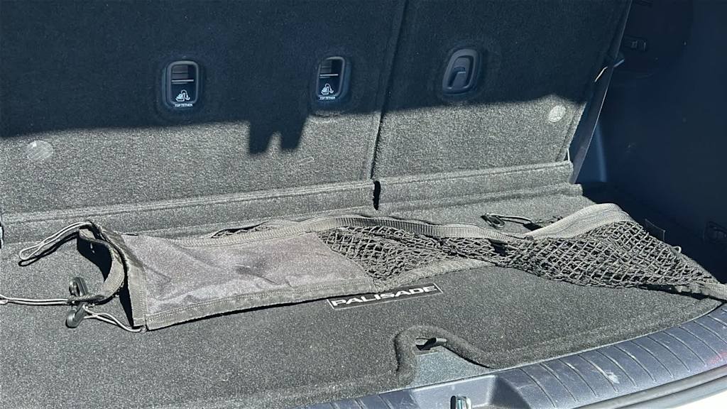 Thumbnail: 2024 Hyundai Palisade - 15