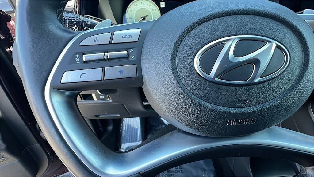 2024 Hyundai Palisade Limited 24
