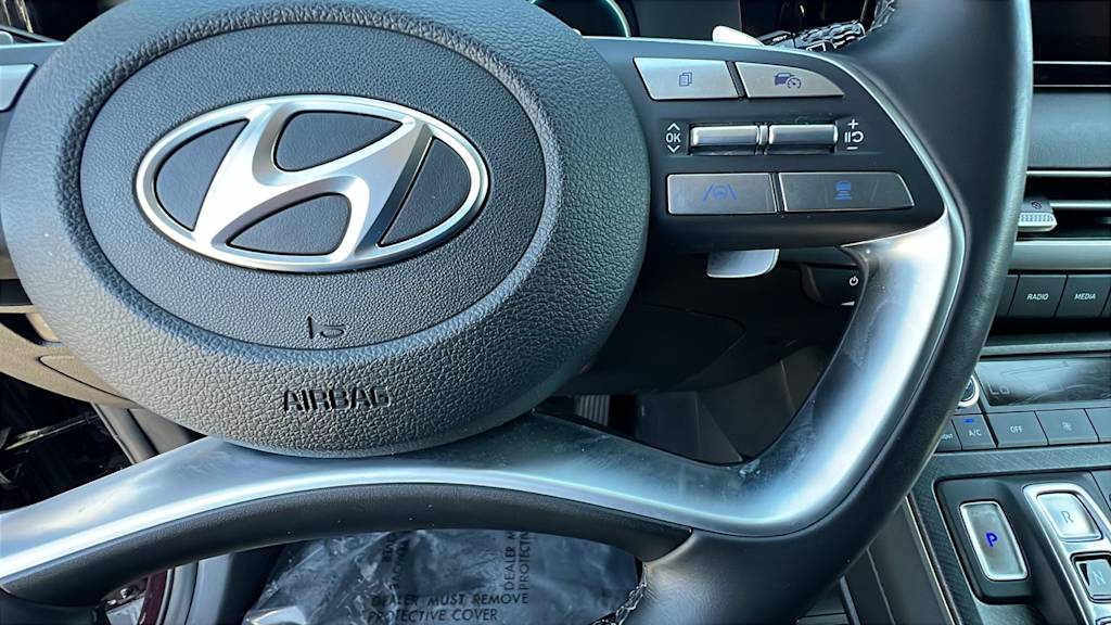 2024 Hyundai Palisade Limited 25