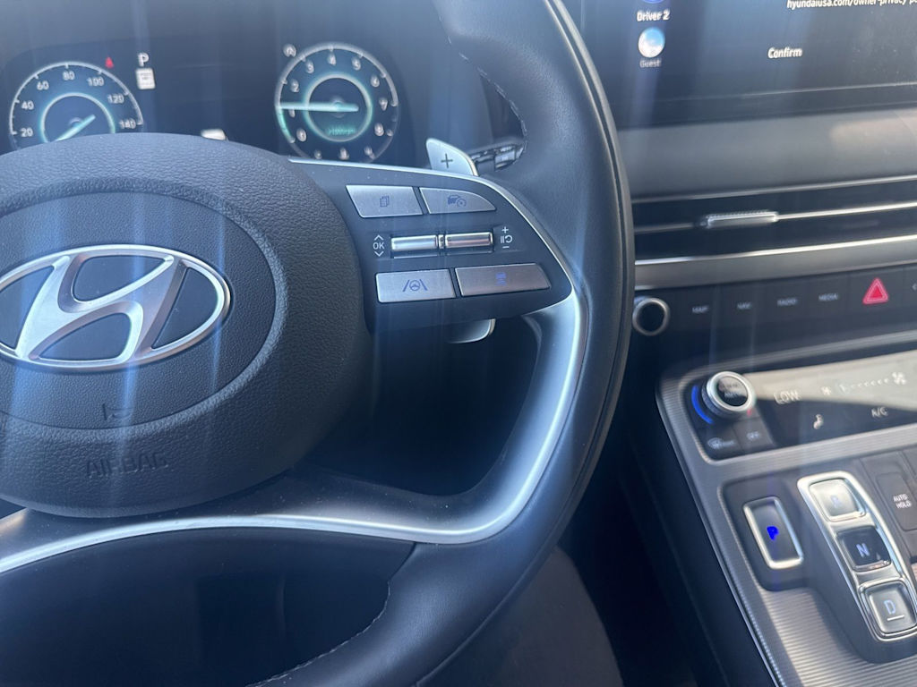 Thumbnail: 2024 Hyundai Palisade - 19