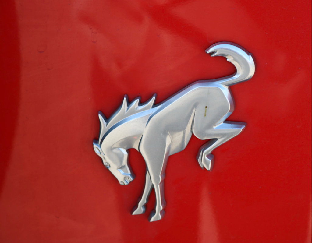 Thumbnail: 2023 Ford Bronco - 6
