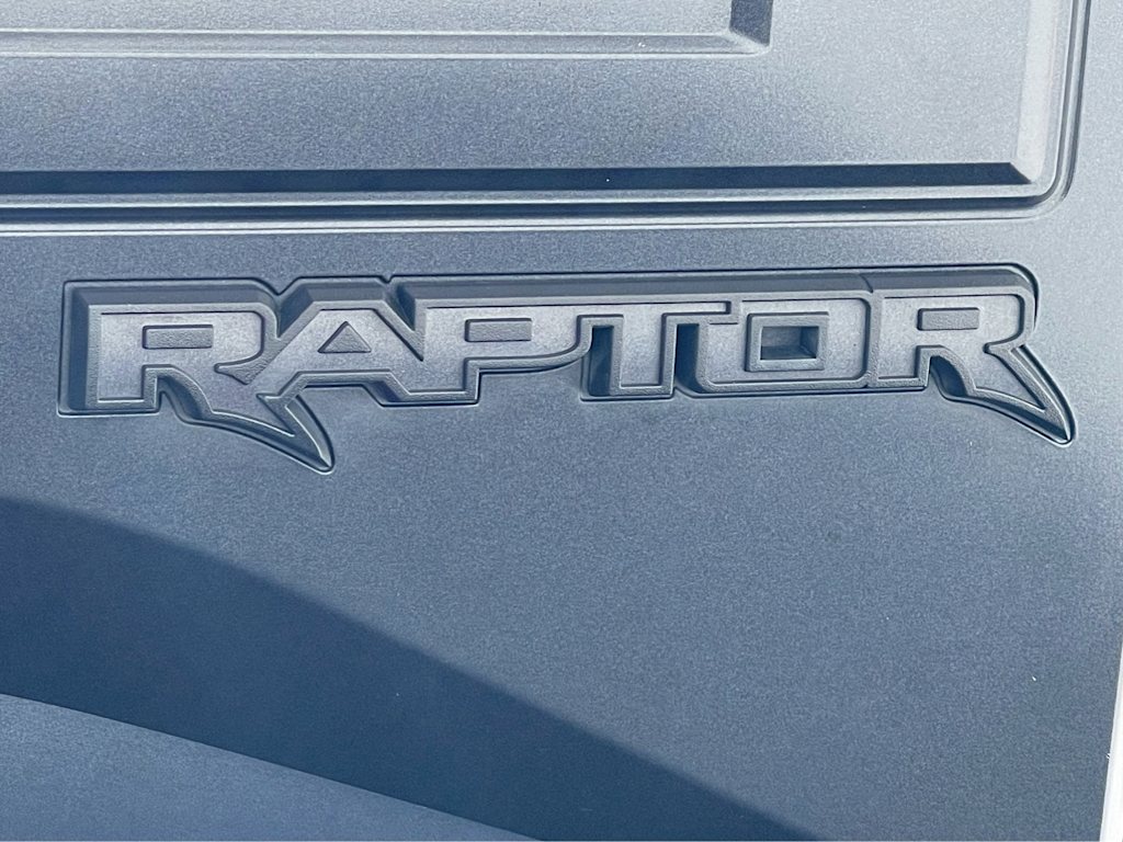 2018 Ford F-150 Raptor 19