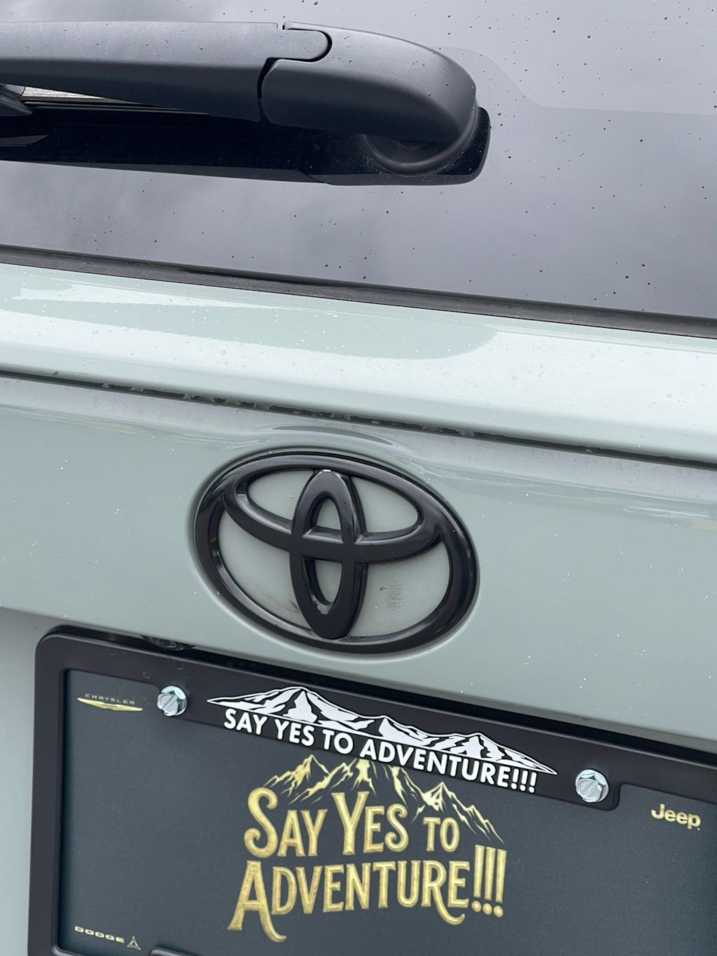 Thumbnail: 2019 Toyota RAV4 - 20