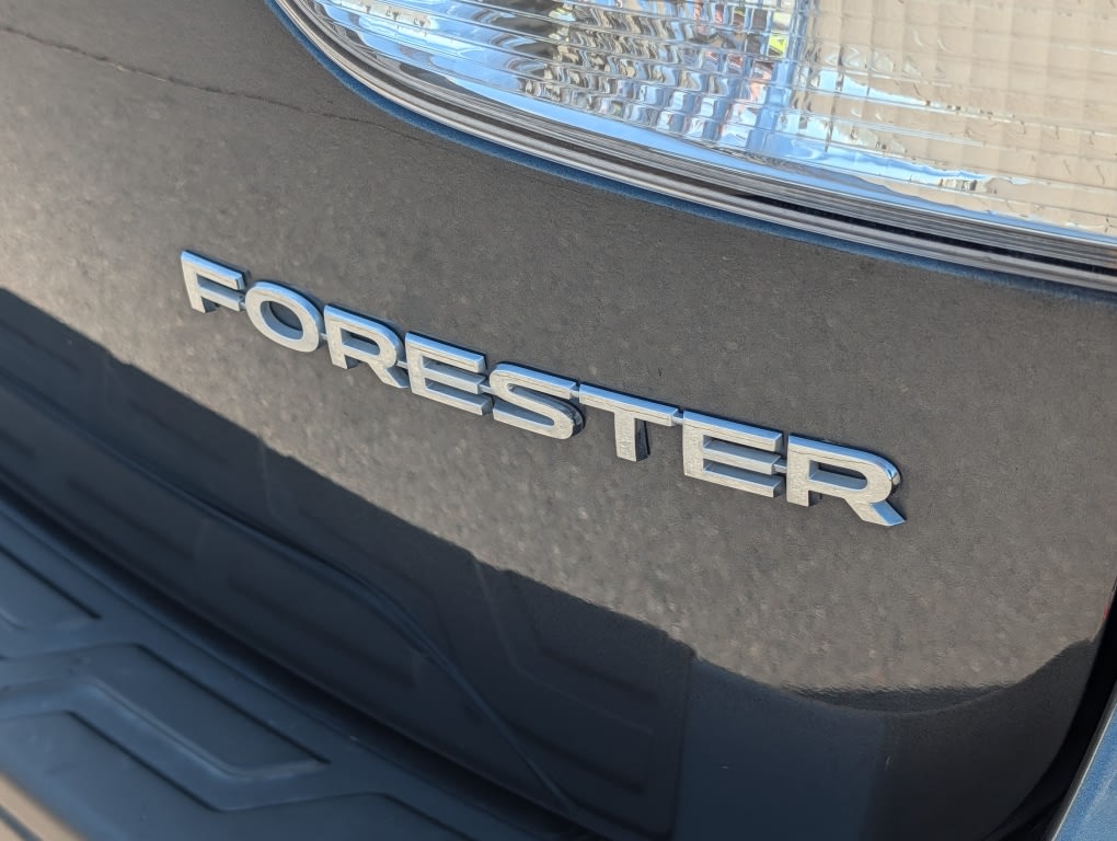 Thumbnail: 2019 Subaru Forester - 13
