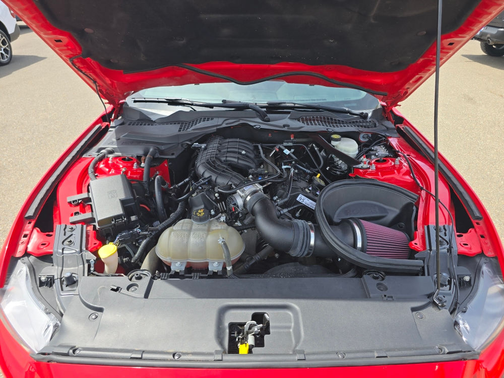 Thumbnail: 2016 Ford Mustang - 8