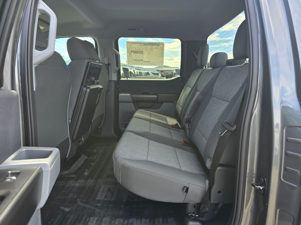 Thumbnail: 2025 Ford F-150 - 10