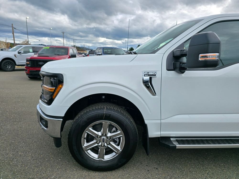 2025 Ford F-150 XLT 7