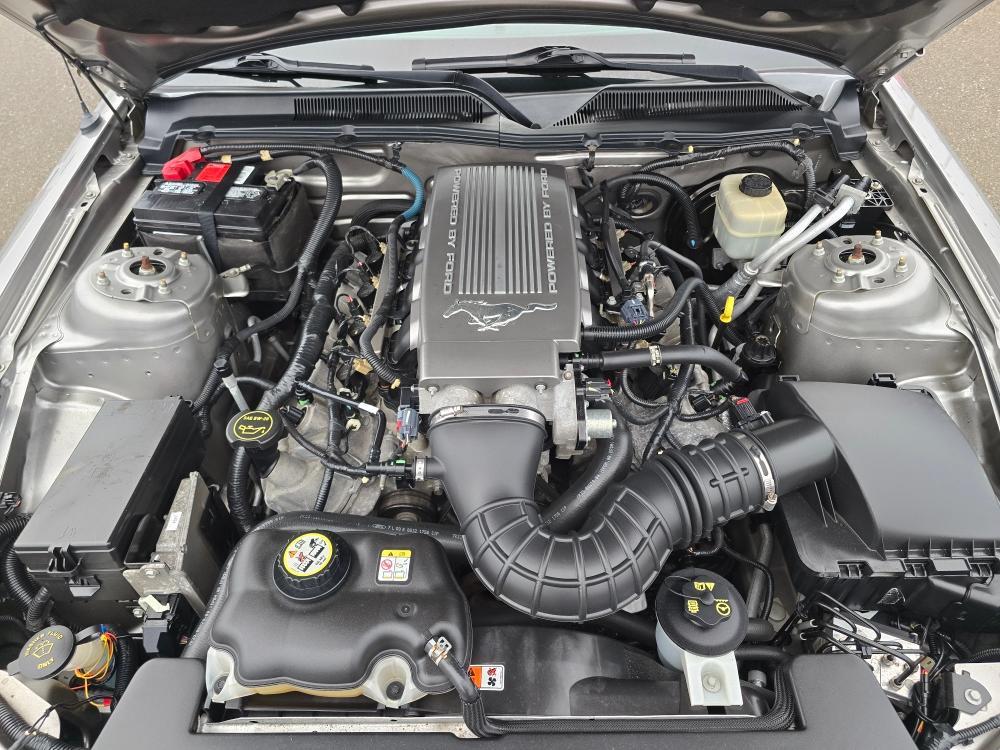 Thumbnail: 2008 Ford Mustang - 8