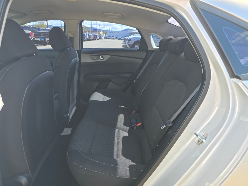 Thumbnail: 2019 Kia Forte - 10