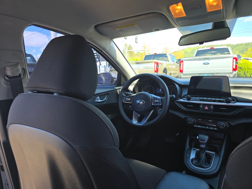 Thumbnail: 2019 Kia Forte - 2