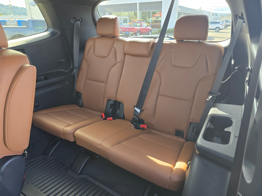 Thumbnail: 2025 Kia Telluride - 18