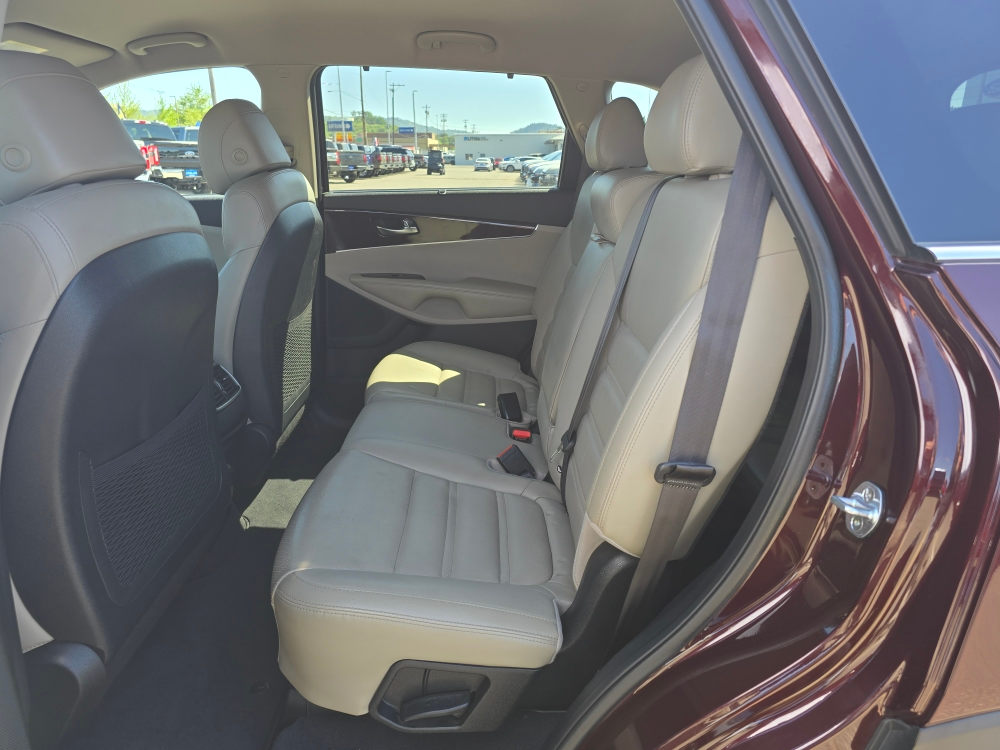 Thumbnail: 2017 Kia Sorento - 10