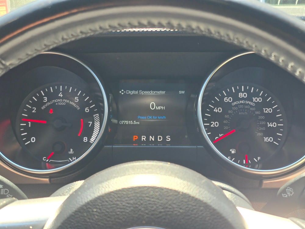 Thumbnail: 2019 Ford Mustang - 14
