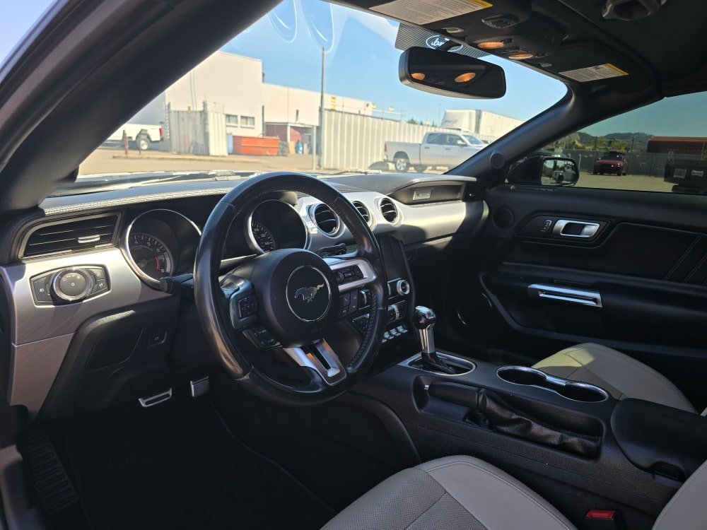 Thumbnail: 2019 Ford Mustang - 2